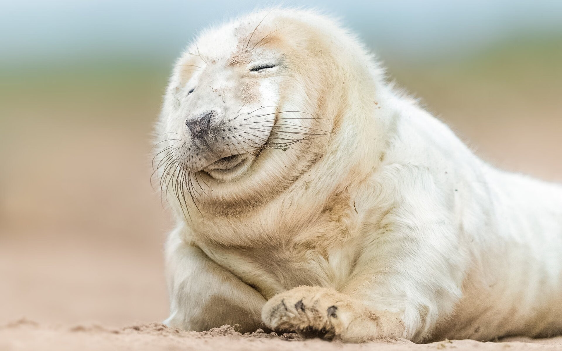 全国排球联赛，激情拼搏共追梦想，排球全国锦标赛赛程