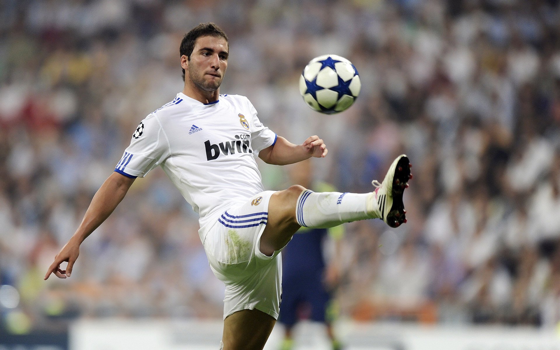 澳大利亚队期待在亚洲赛场有更多突破