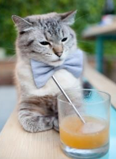 “逆境逆转：球队在危机中的神奇表现”，逆境概念